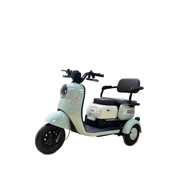 Hot Selling 3-Wheel High-Capacity Lead Acid Battery Electric Tricycle 3-Speed Rear Hub Motor for City Travel and Commute