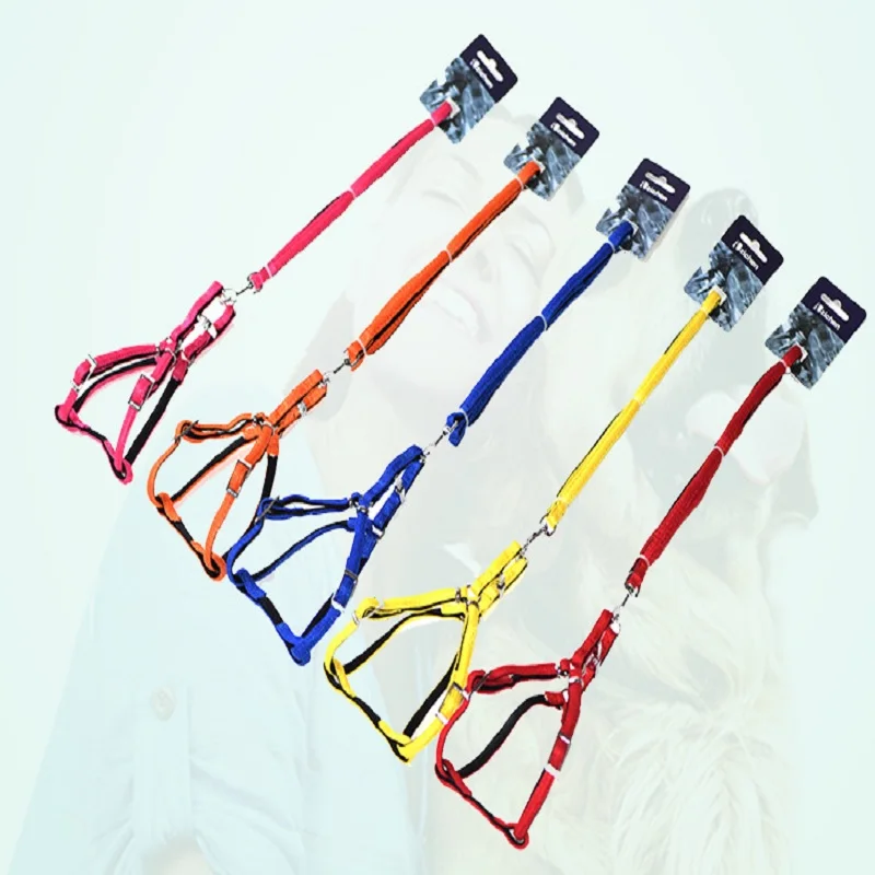 Large metal fastener leash for pet in a dog chain