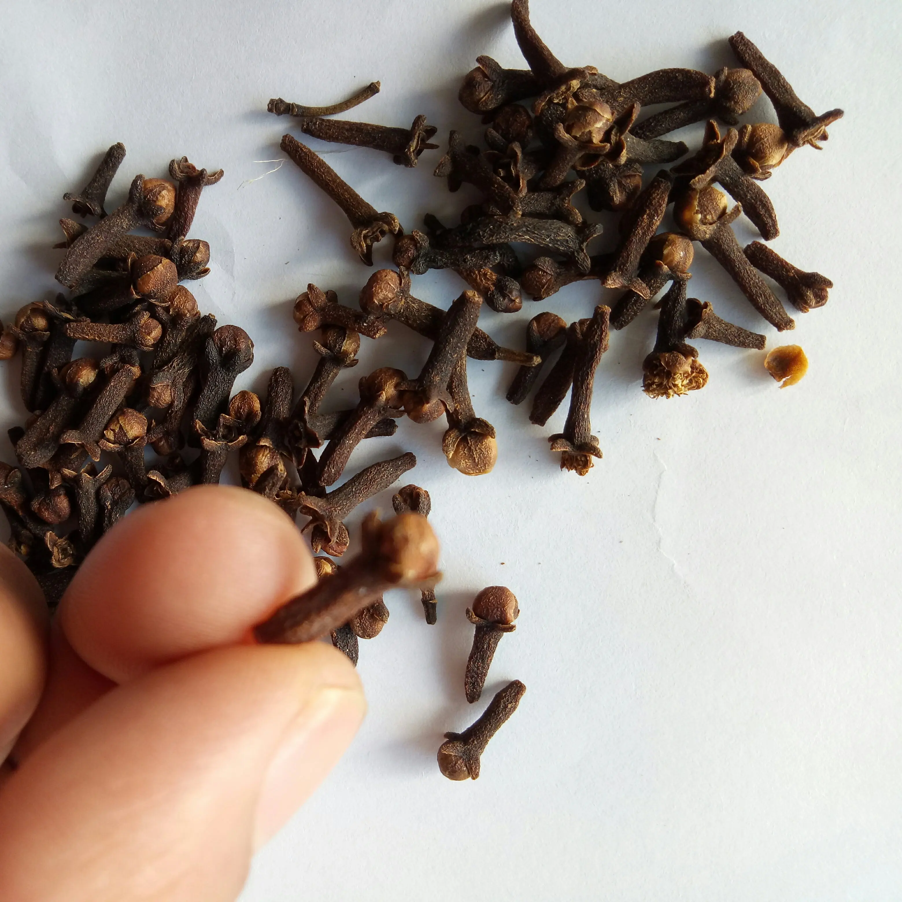 Ding xiang china sale 100% pure spice Flos Caryophylli  Eugenia caryophyllata flower buds for spice