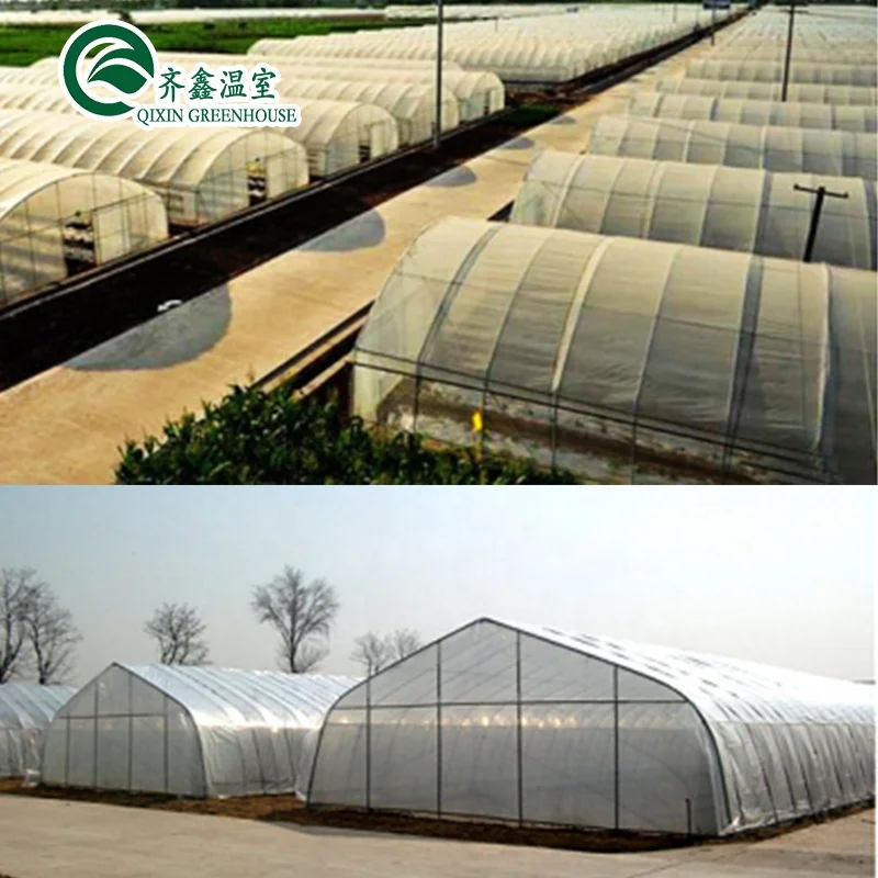 
Low cost agriculture tunnel plastic greenhouse polyhouse for vegetable 