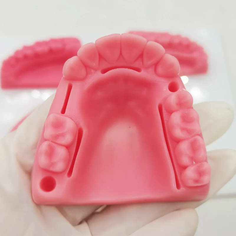 TUOJIN Simulation Oral Suture Models With Acrylic Plate Silicone Students Practice Suture Model