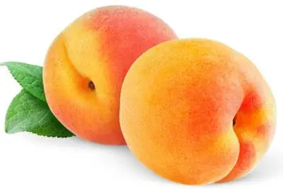 
425g Fresh Canned Yellow Peach Dice In Heavy Syrup 