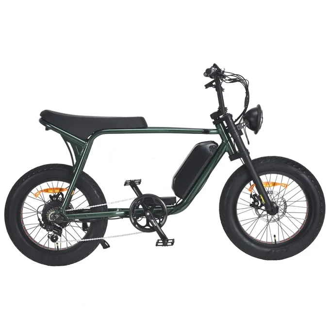 750W 20 inch Fat Tire Retro Electric Bike for sale
