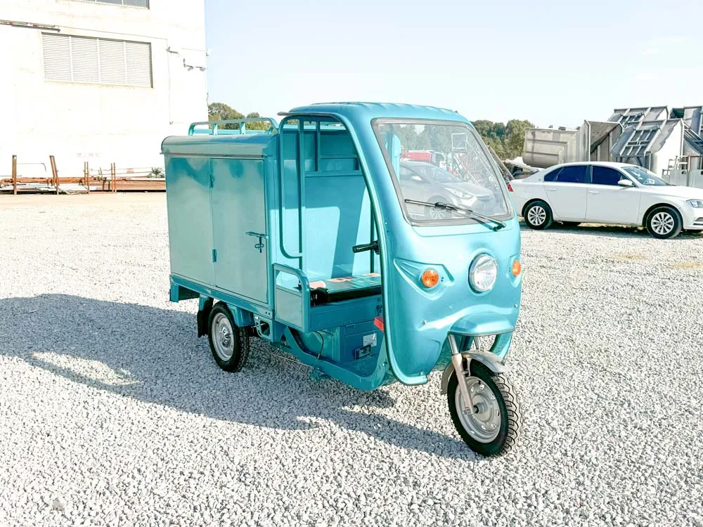 LB-3W4D electric trike fat tire 3 wheel Electric Tricycle three wheels adult cargo electric bike with basket