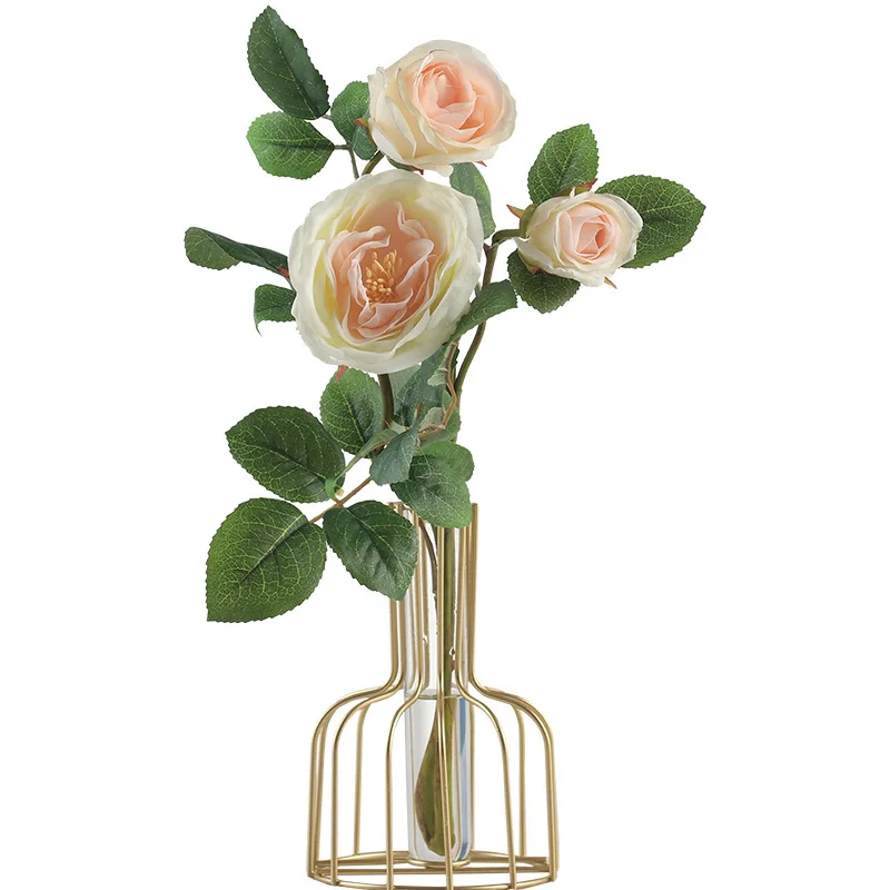 Modern Minimalist Metal Iron Art Line Geometric Decorative Gold Silhouette Clear Glass Small Test Tube Flower Bud Vase