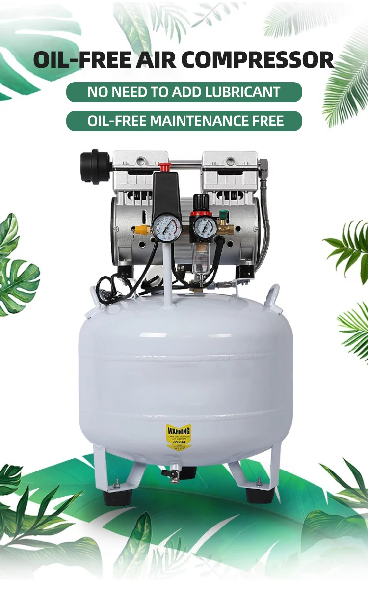 DH Hot Sale Dental Oil Free Silent Air Pump Pancake Medical Clinic Single Cylinder Small Air Compressor For Dental Chair Lab