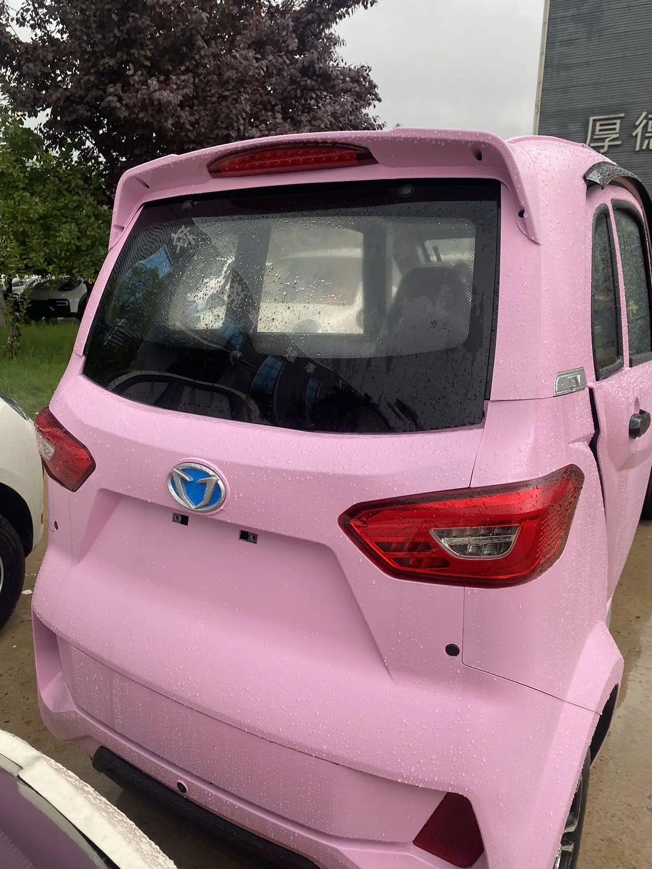 Pink Electric Tricycle with Closed Body Type Chinese Cars Style Motor Trike