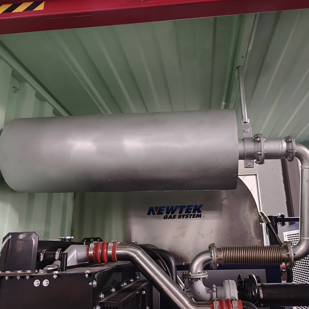 NEWTEK 10Nm3/hr 99% Container type oxygen generator industrial oxygen generator