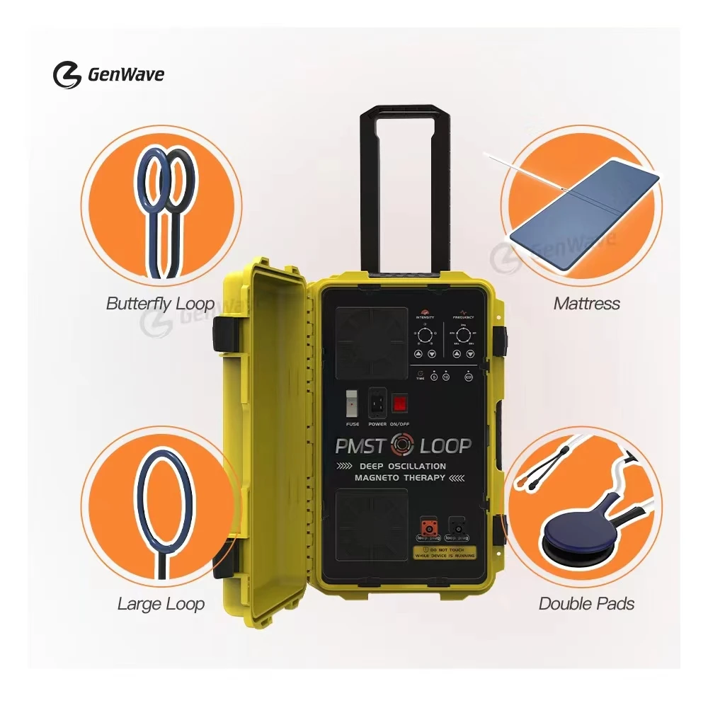 Pemf 6000 Gauss Double Loop pain relief Physio Pmst Magneto Physiotherapy Pulsed Magnetic Electromagnetic Field Therapy