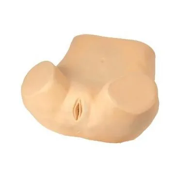 High Level Plastic Training Type Gynaecological Model