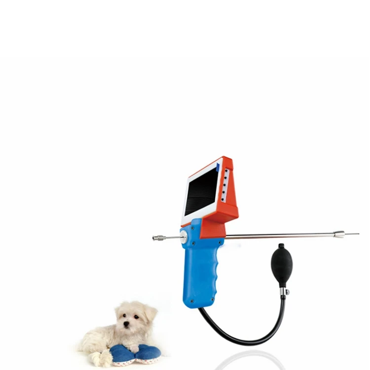  Dog use veterinary insemination gun with HD endoscopy