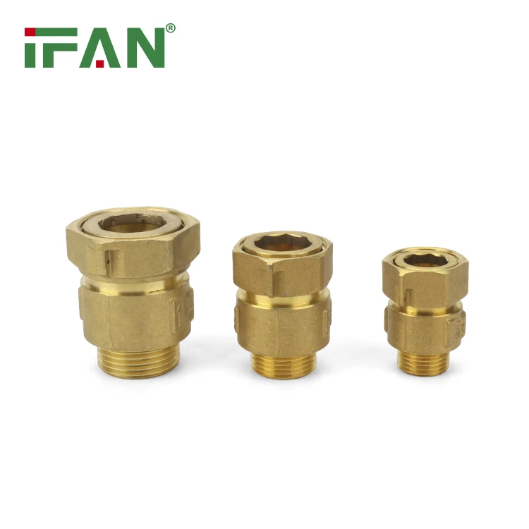 IFAN Free Sample Spring Check Valve 1/2 Inch Check Valve Vertical Non Return Check Valve