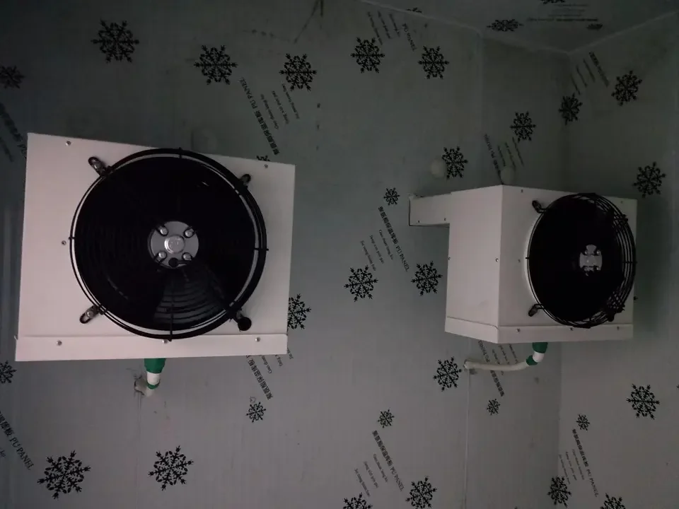 Wall mount type Monoblock Condensing Unit For Small Walk In Cooler Freezer Room