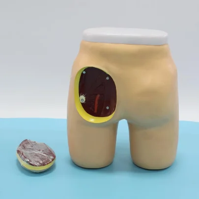 Hip Injection Training Simulator, Buttock Muscle Injection Practice Model For Medical Students Or Nurses Teaching Model