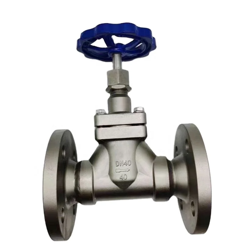 stainless steel socket weld dn50 LPG cryogenic flange check valve for gas vessel