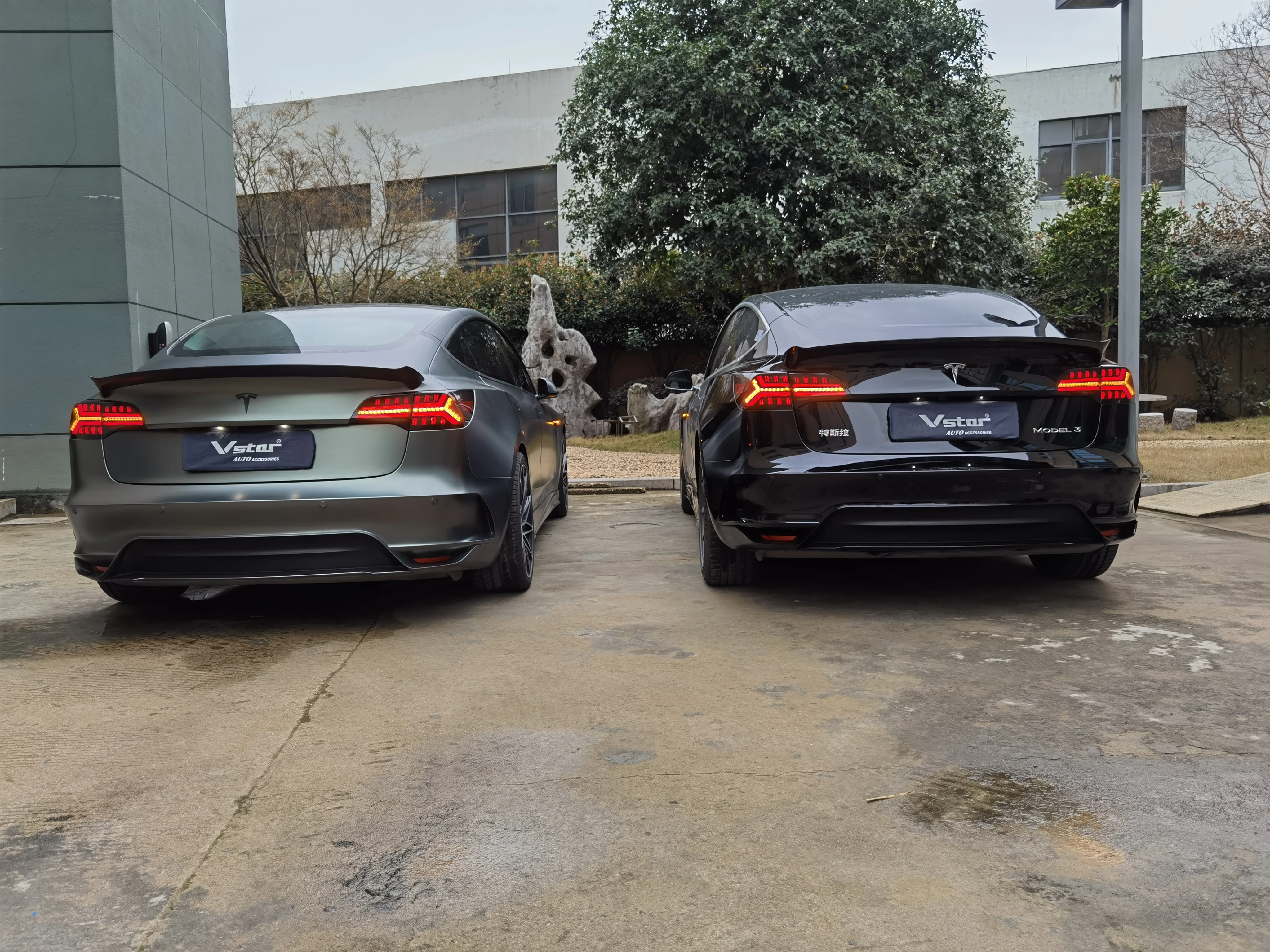 High quality Tail lights for Tesla Model 3, Model Y Assassin style LED tail lamps for tesla model3 model Y.