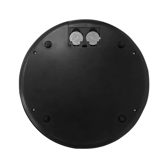 Top Fashion Portable Fruit Weighing Coffee Digital Commercial Kitchen Scale