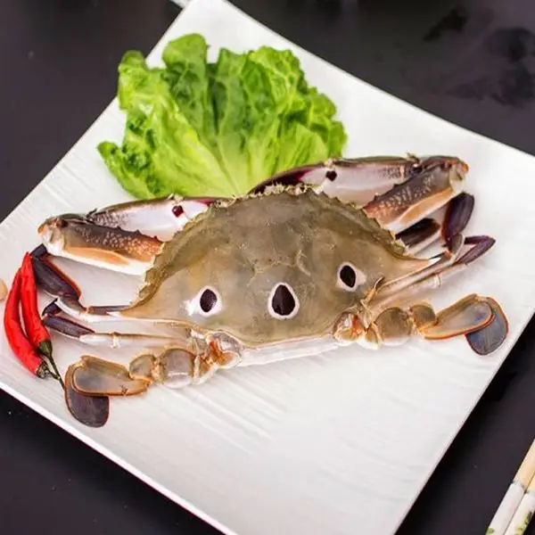 High Protein Fresh Sea Frozen Swimming Crab
