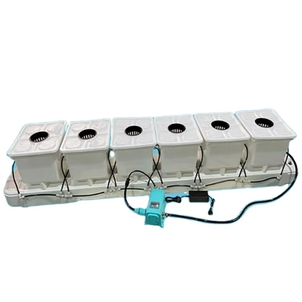 Aeroponics Интеллектуальный голландский ковш растущие системы