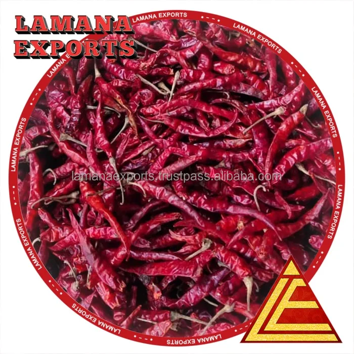 Dried Red Chilli S17 Teja with Stem India Chilli Deluxe Quality for Thailand