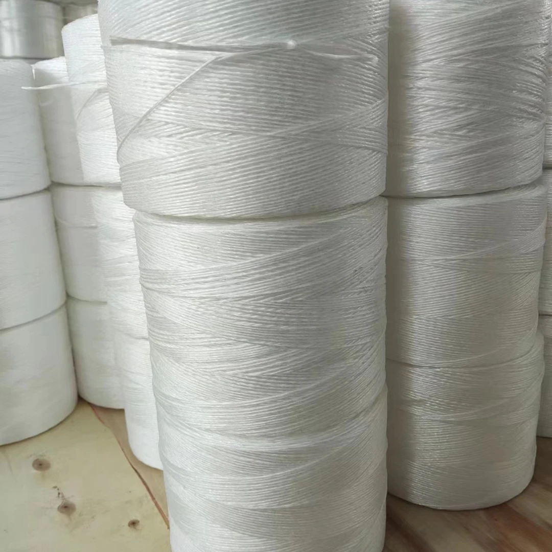 Strong support 1/1000 raffia raw poly baler soft twine white 6 kg (6000m) for tomato cucumber cultivation