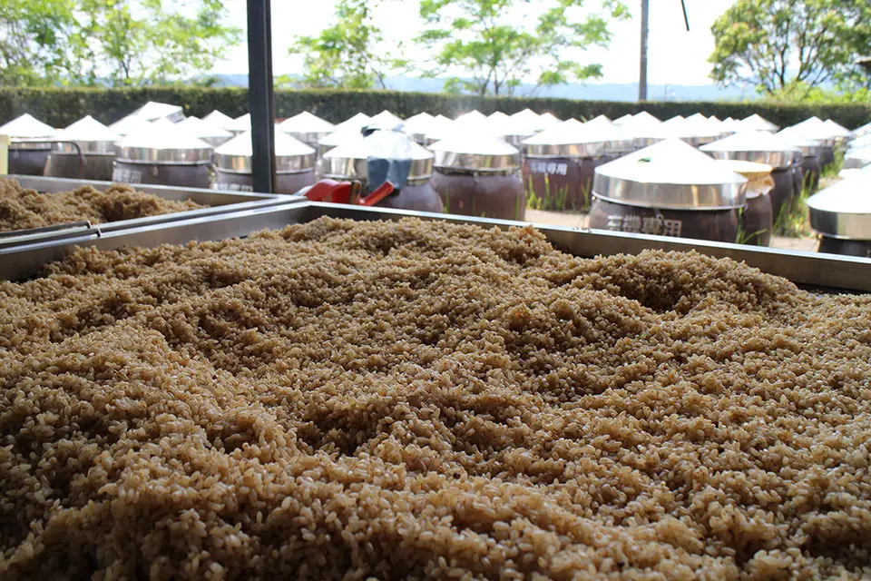 Bottle packaging yellow liquid nutritional raw black vinegar for sale