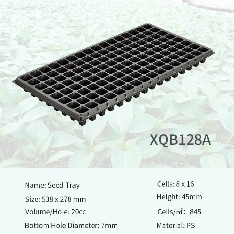 Hot Sale 128 cells 0.8mm 0.9mm 1.0mm seed tray PS germination tray for nursery of vegetables 128 plastic seedling tray
