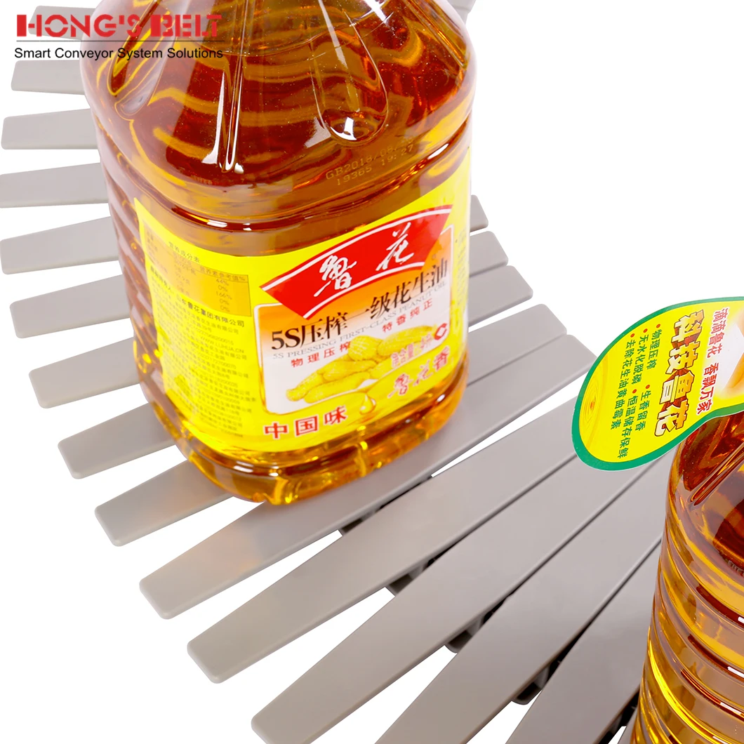 Hongsbelt 1873T-K1000 Side Flex Plastic Chain Conveyor Plastic Chain For Bottles