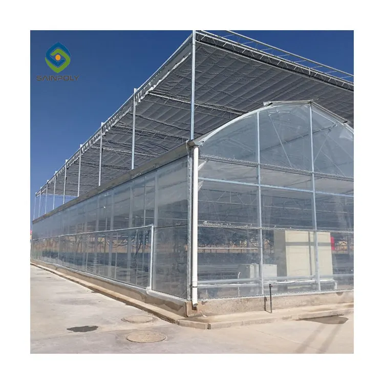 Multi-span agricultural plastic products plastic shed film green houses greenhouse with hydroponic growing systems