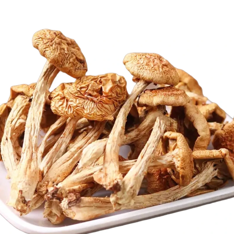 2022 Заводская оптовая цена сушеный pholiota nameko слайдер гриб для продажи