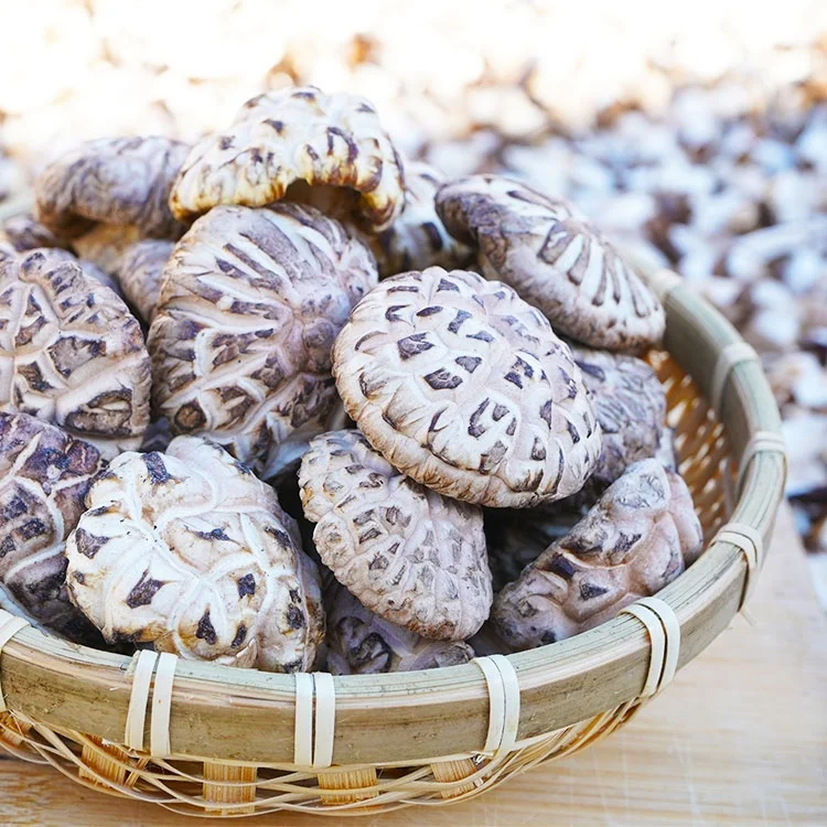 Свежие грибы устричный соус shiitake пищевые добавки и витамины