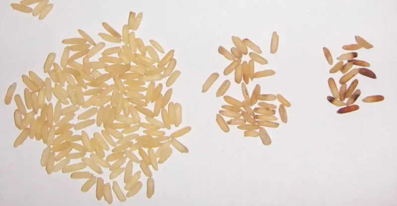  Машина для переработки риса сортировщик цвета