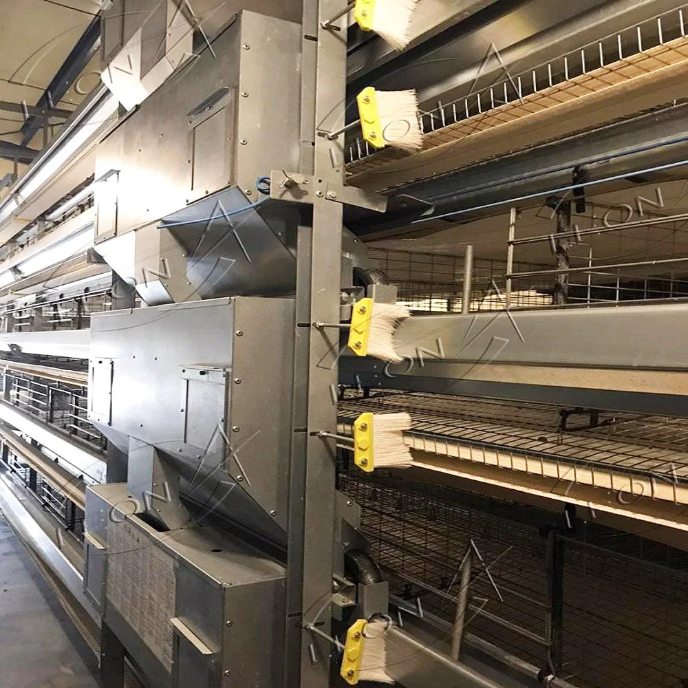 High Quality H Type Layer Birds Cages for Big Chicken Made in China