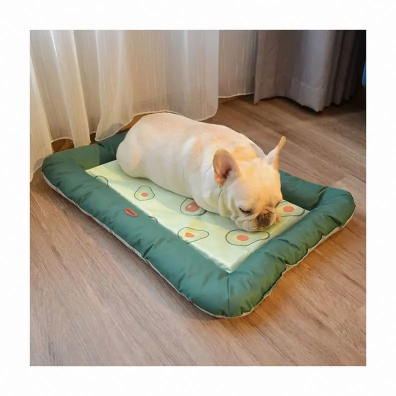 Pet beds for summer