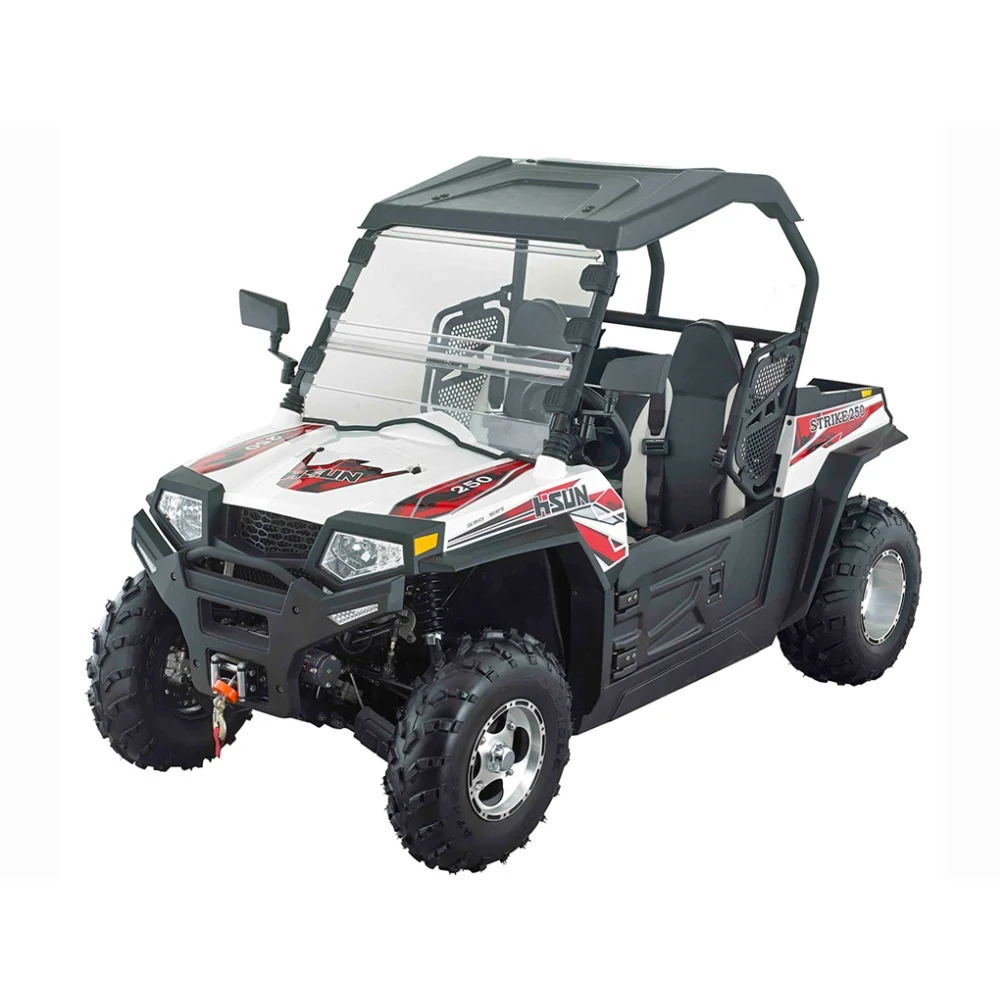 HISUN Quad 250cc/800cc Petrol Engine Powered Automatic 4X4 UTV Buggy Off Road Fang Good Price Recreation quadski amphibious