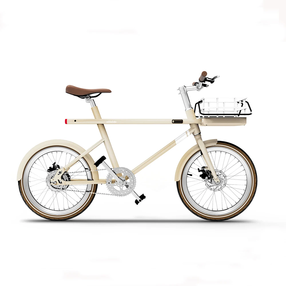 German Red Dot Design Award 20inch 250W Urban Electric Bike Enjoy Life