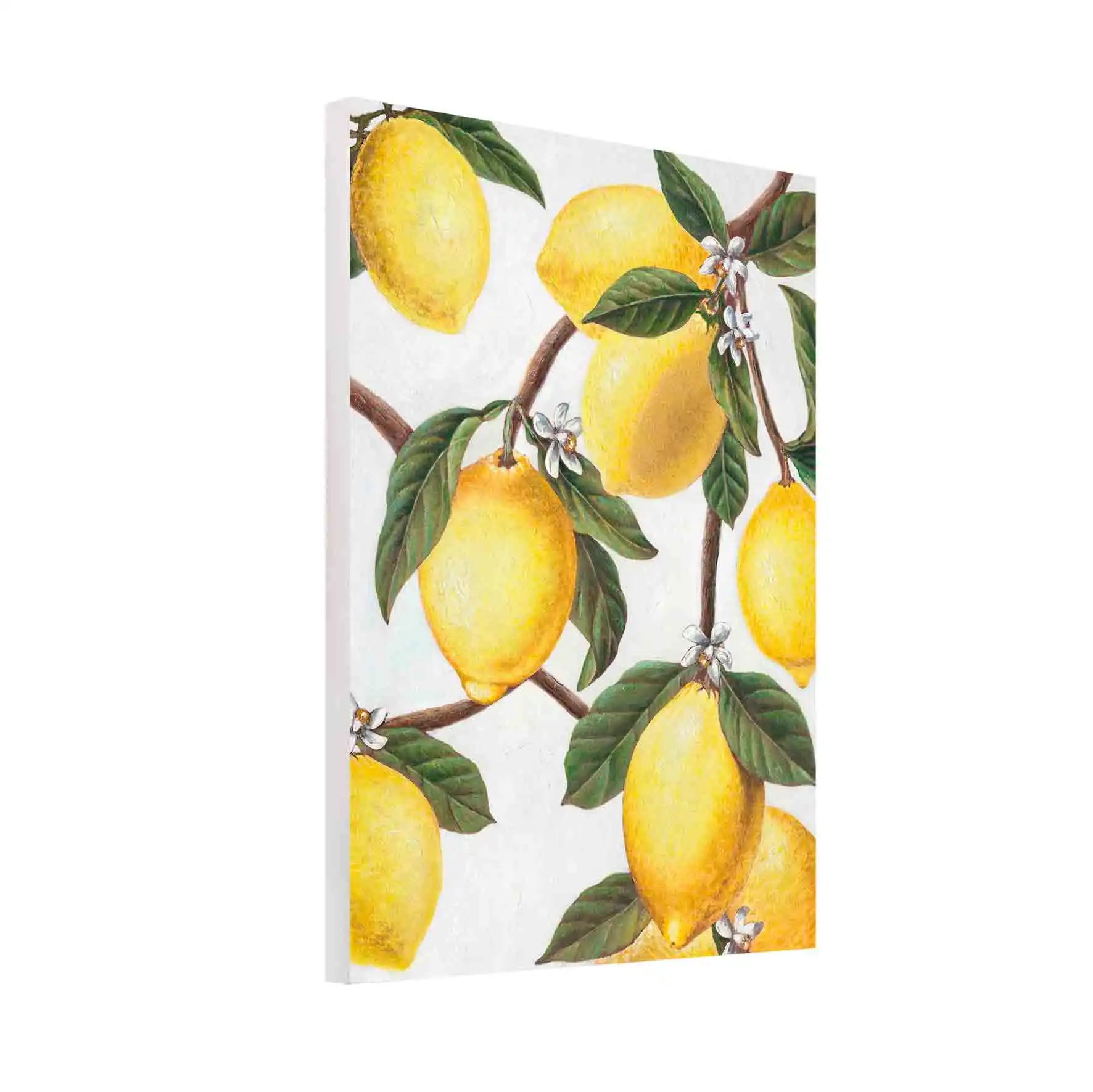 Modern Still Life Canvas Wall Art Hand Made Fruit Lemon Oil Paintings Home Hotel Decorative