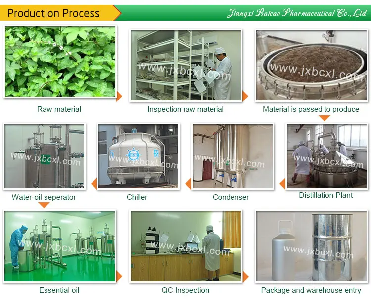 Natural Plant Extract Organic Oregano Oil for Hair Skin Care Bulk Essential Oil for Flavors and Fragrances