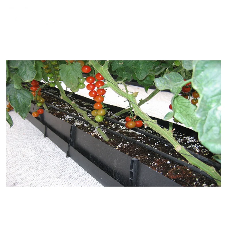 Tomato Rose Planting Trough Greenhouse Hydroponics Planting System PP Growing Trough