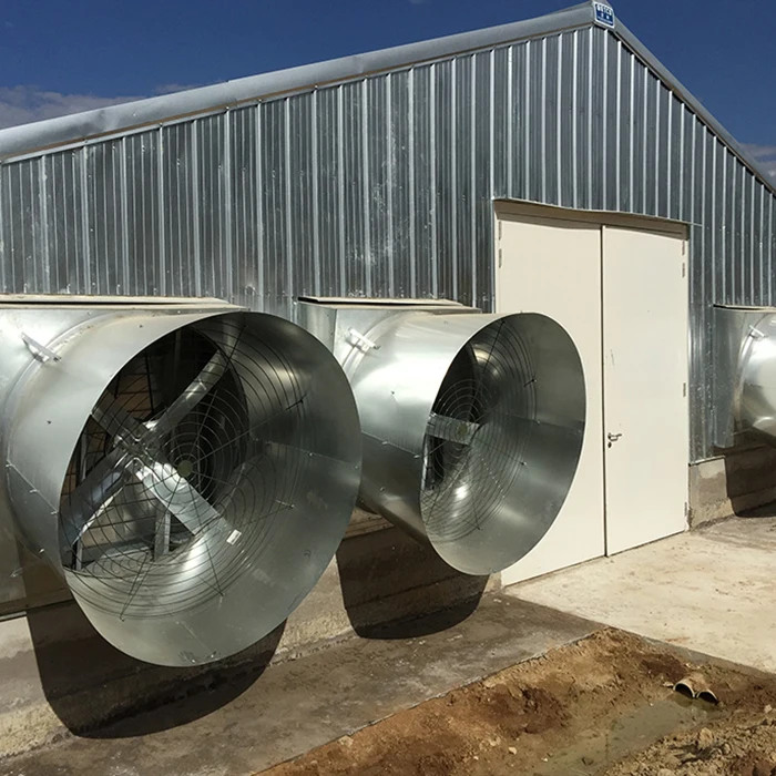 Inflatable Cow Bounce House Chicken Coop Hen Wooden