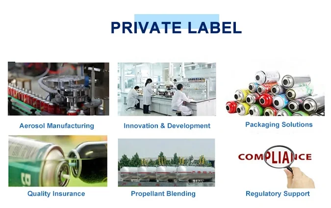 Mould Aerosol Spray Cleaner Agent Prevention Mold Cleaner Spray