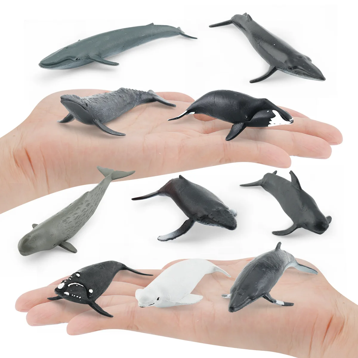 HY - simulation of Marine animal model right whale Beluga Humpback set decoration