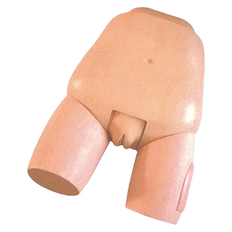 Оптовая продажа, новый дизайн, Лидер продаж, Реалистичная реалистичная модель, симулятор, тренировочная анатомическая модель