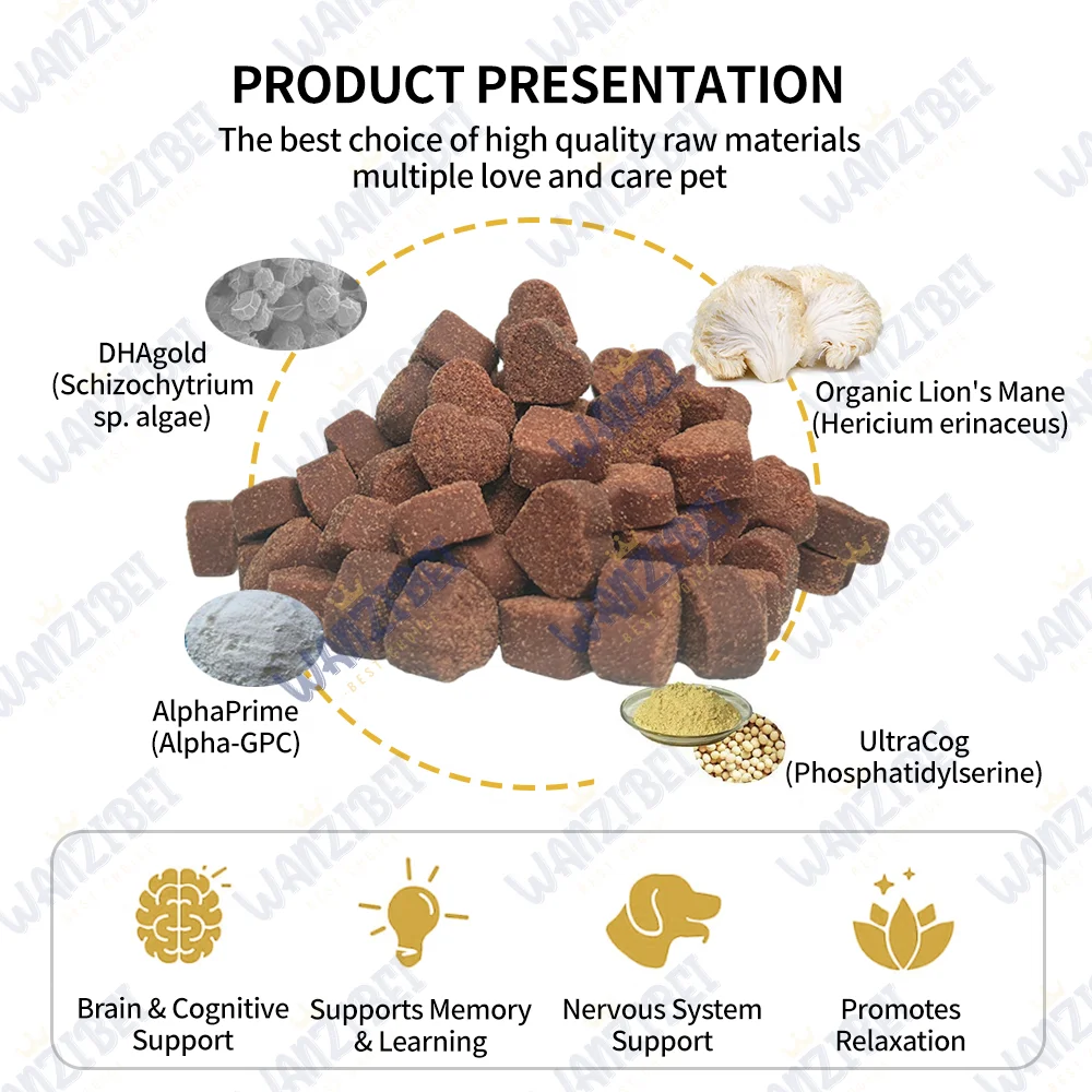 Wholesale Pet Food Cognition Soft Chews for Dogs with DHA & Alpha GPC Senior Dog Brain Health & Nervous System Support