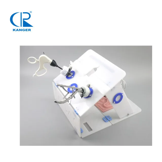 Endotrainer for Laparoscopic surgery