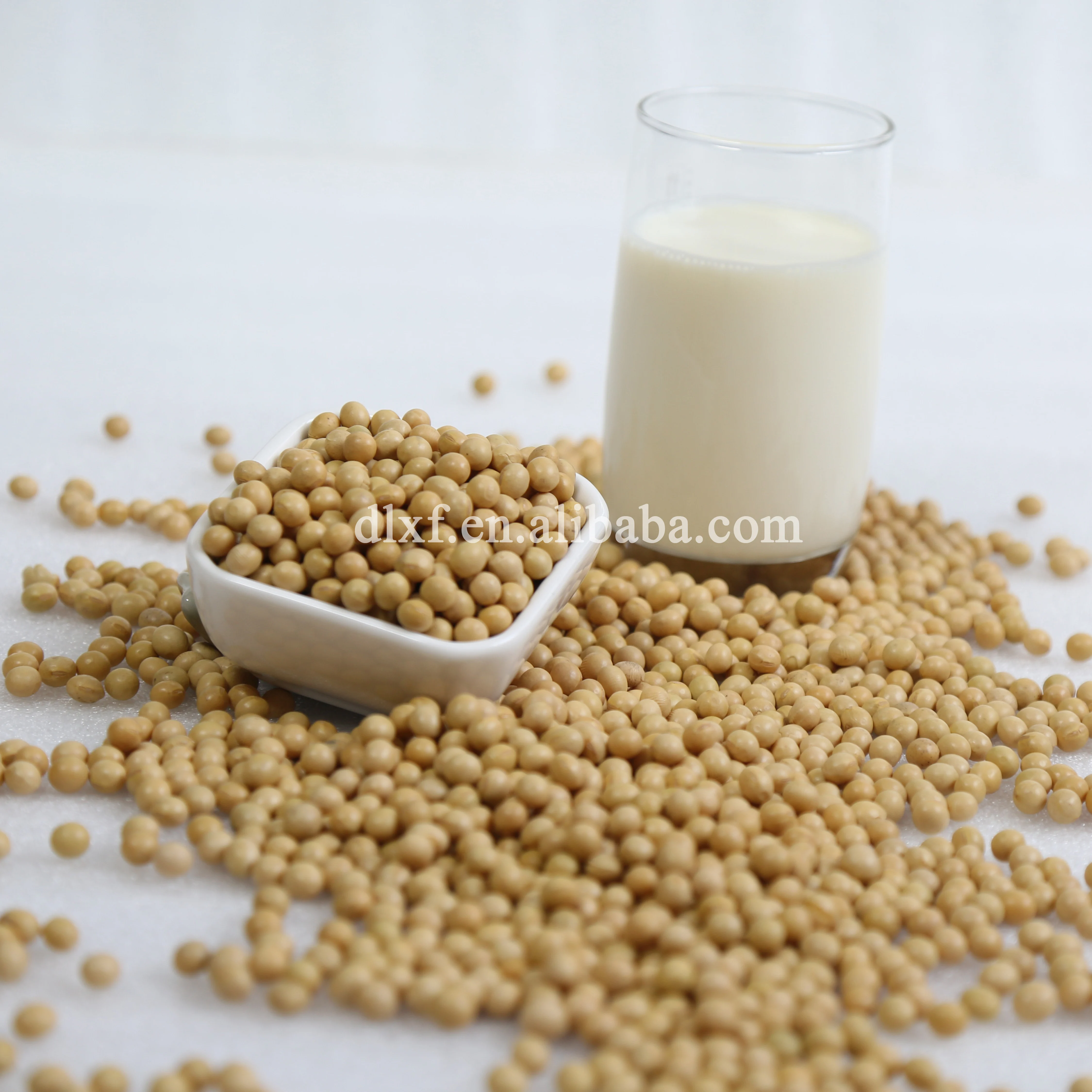 
organic factory popular soybeans for food 