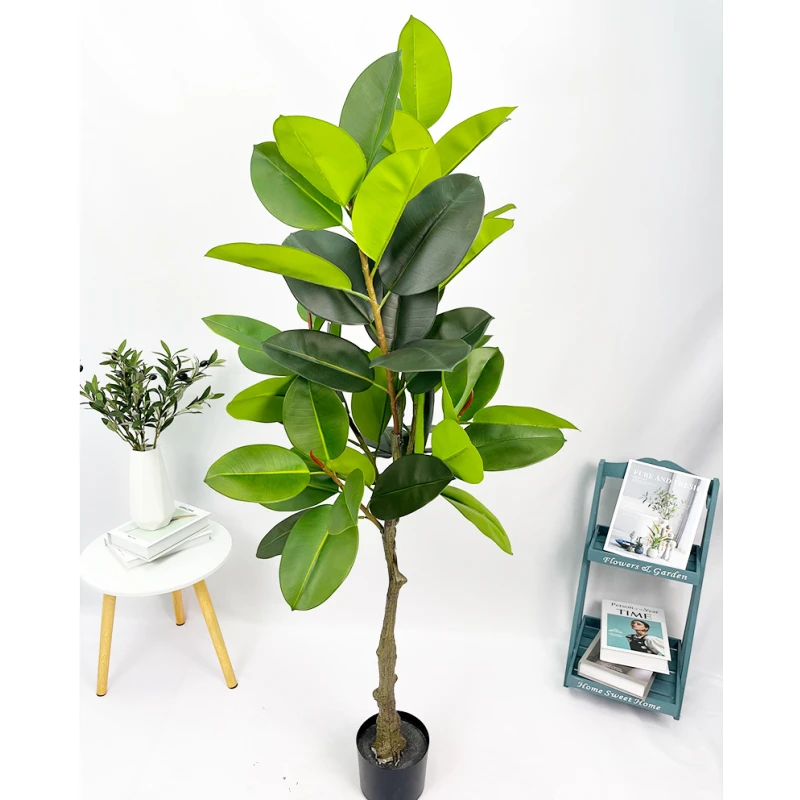 Simulated Indian Banyan Rubber Banyan Potted White Edged Rubber Banyan Bonsai Tree