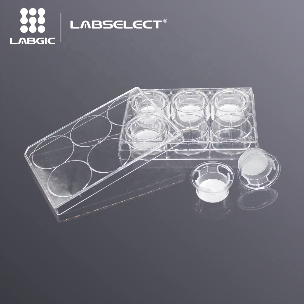Labgic cell culture Inserts in 6-well  6.6mm PC transwell polycarbonate membrane insert for cell culture low moq