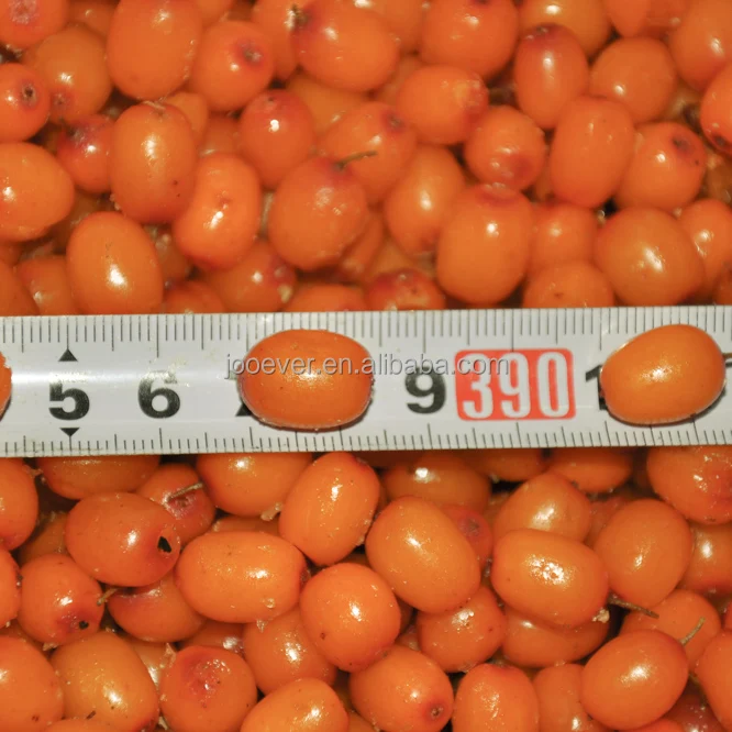 Сертифицированный BRC HACCP IQF замороженные фрукты премиум класса облепихи для здоровых закусок и рецептов