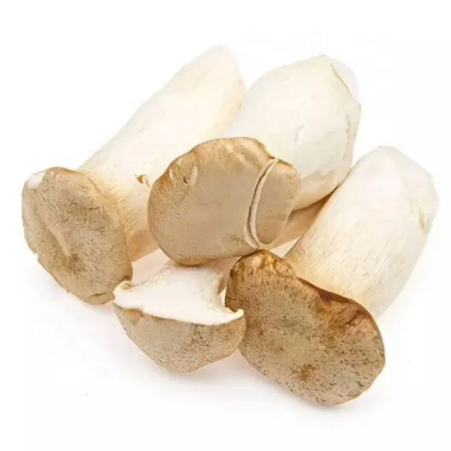 
Hottest Selling Wholesale Cheapest Fresh King Oyster Mushroom 